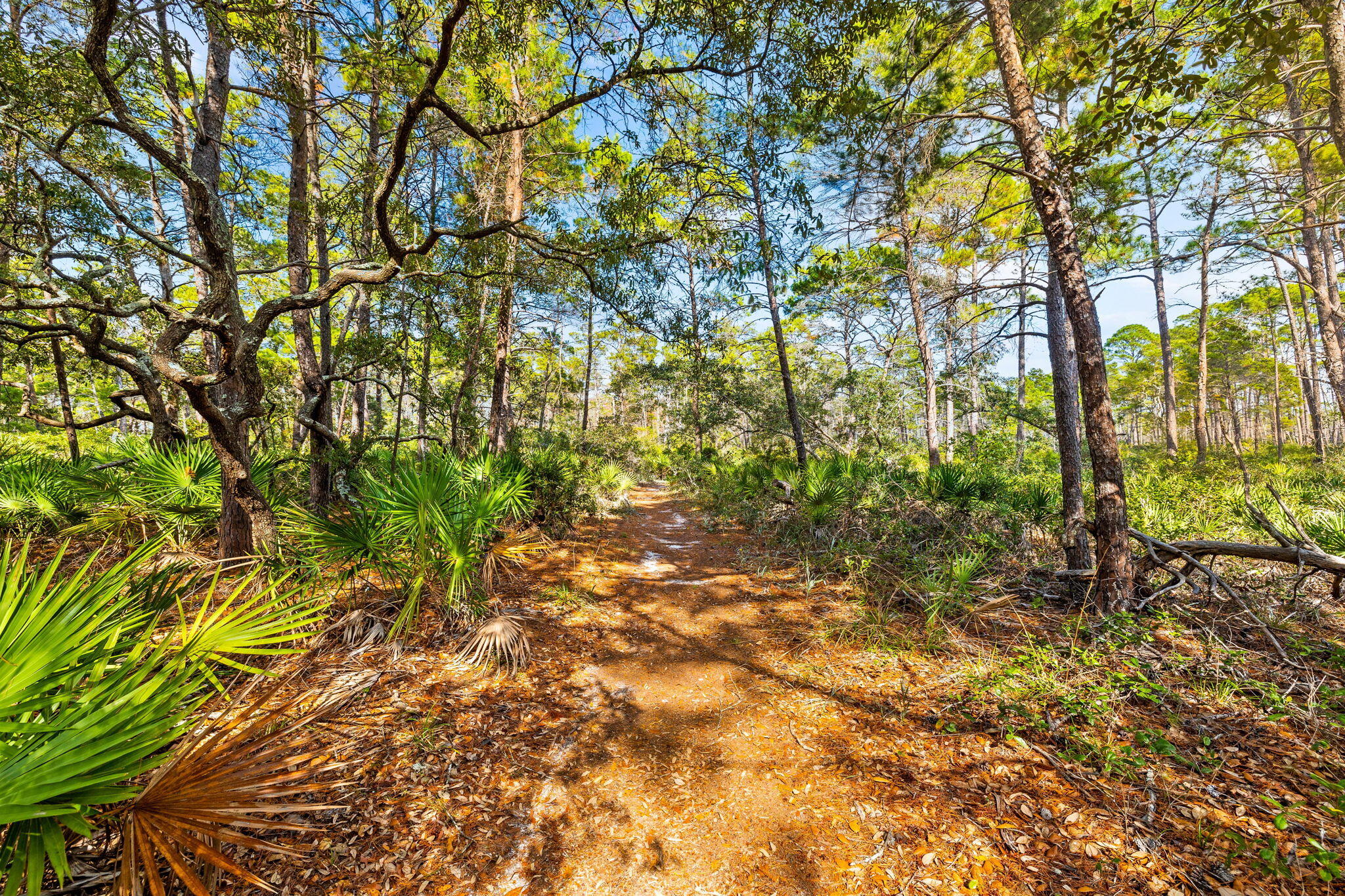CASSINE GARDENS T/H PH 4 - Residential