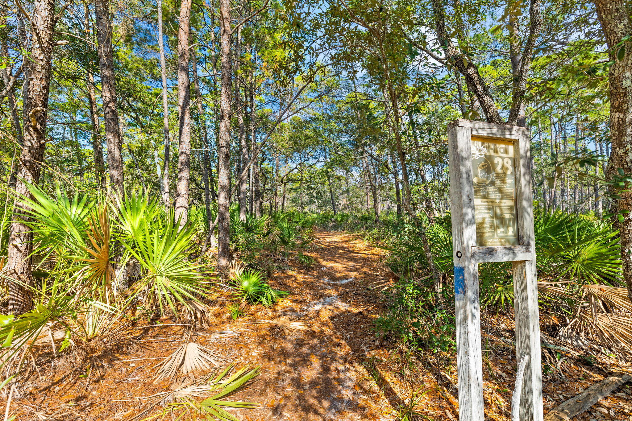 CASSINE GARDENS T/H PH 4 - Residential