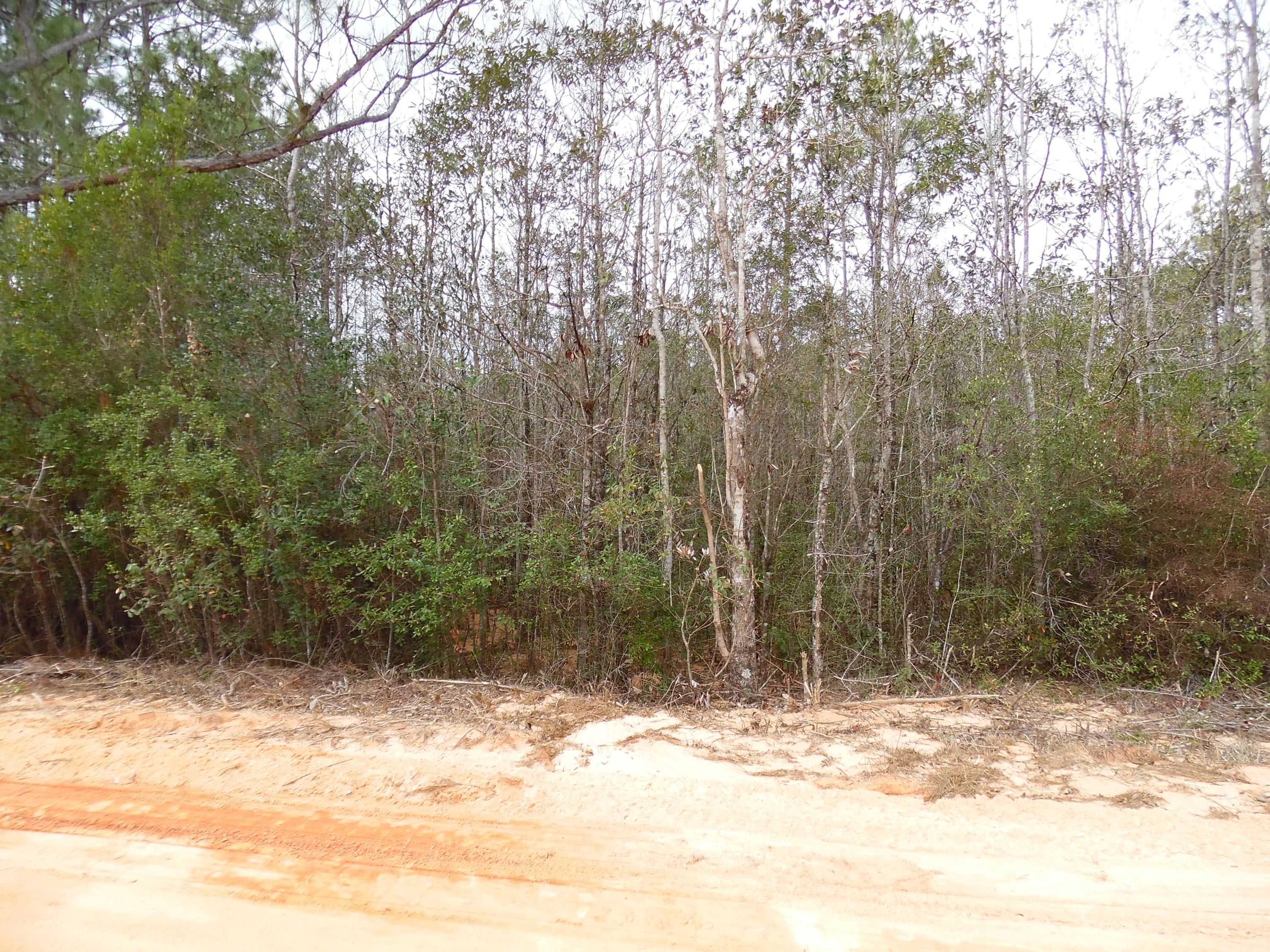 OAKWOOD HILLS - Land