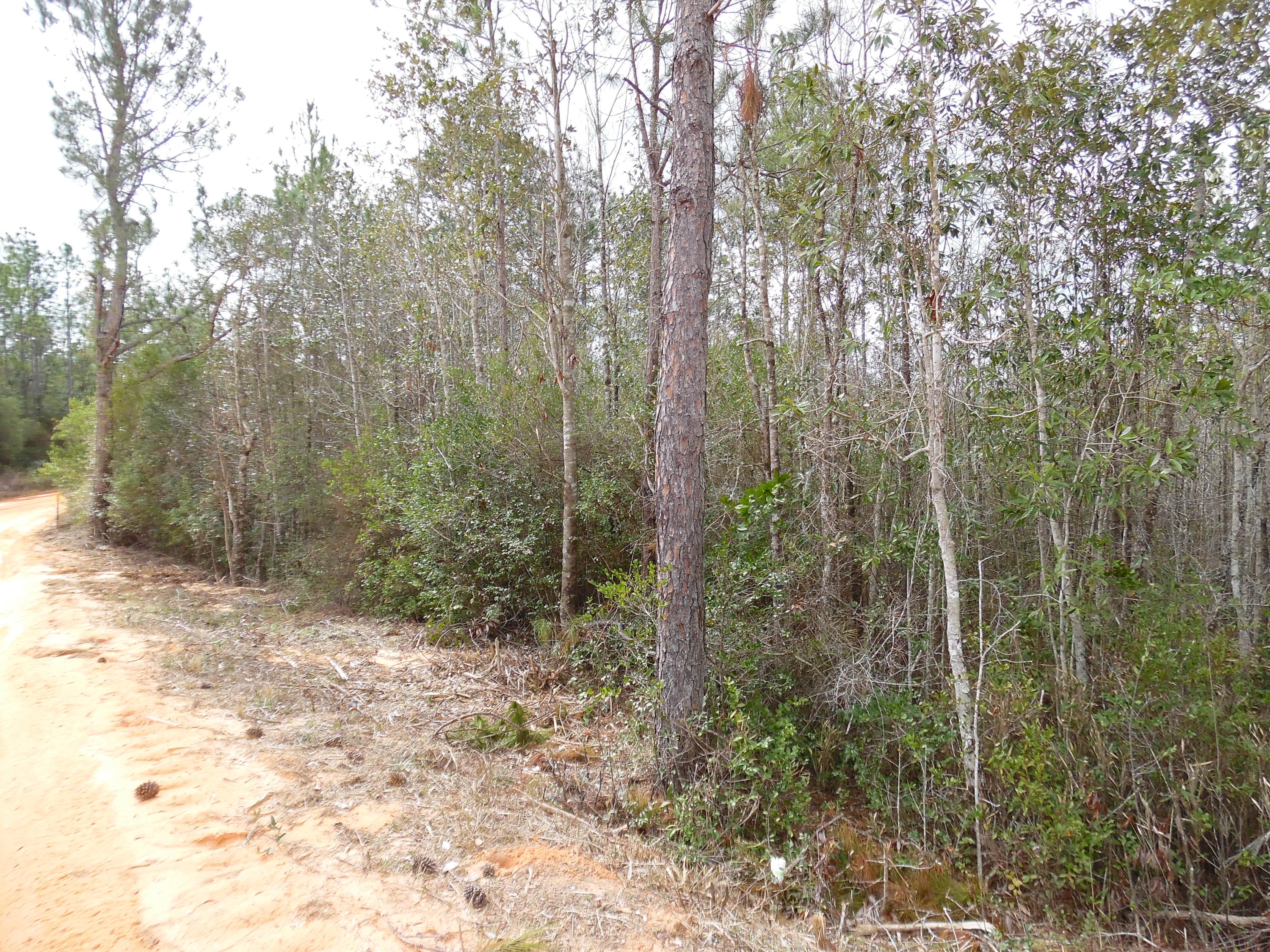 OAKWOOD HILLS - Land