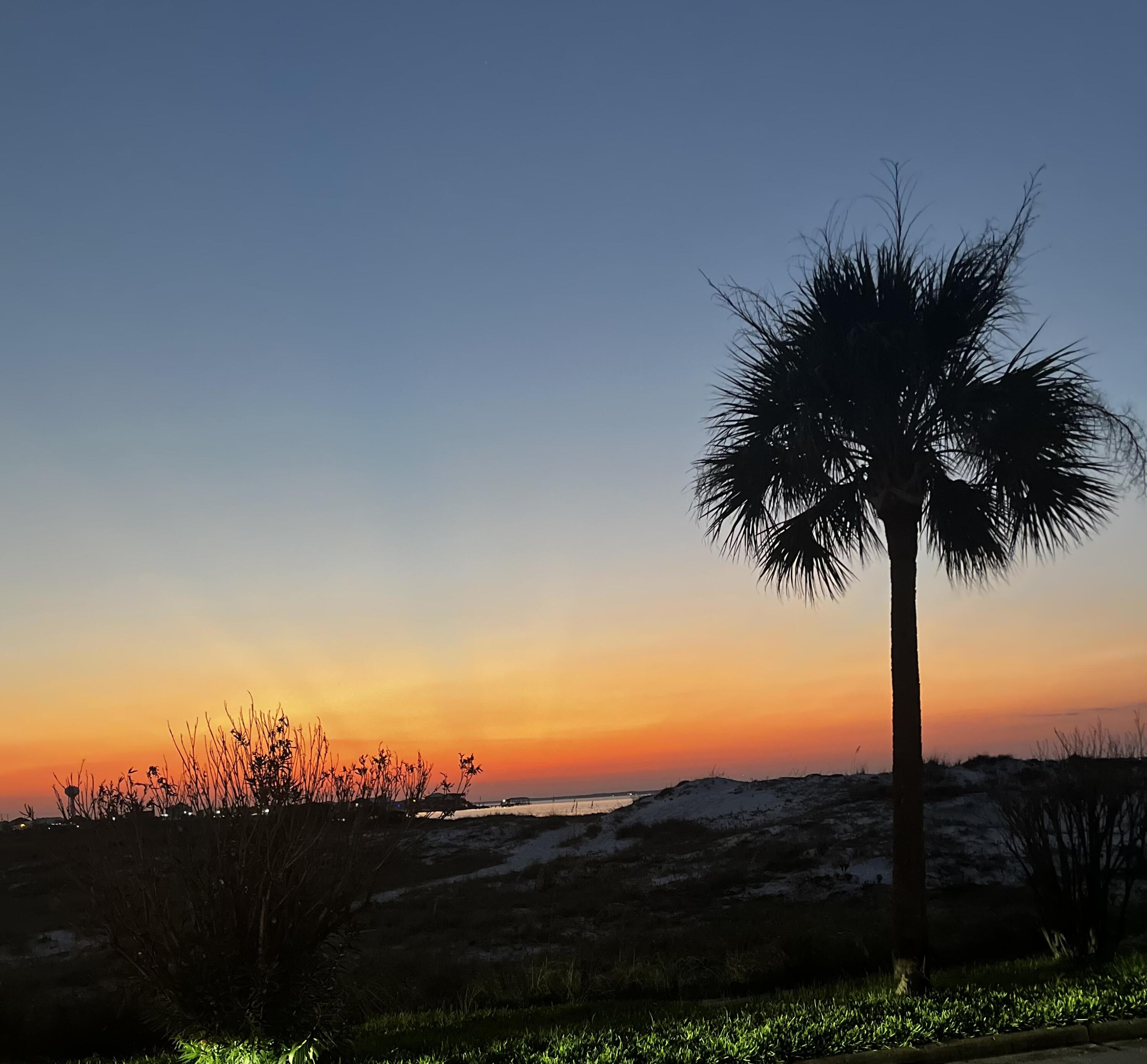 PARADISE POINT T/H - Residential