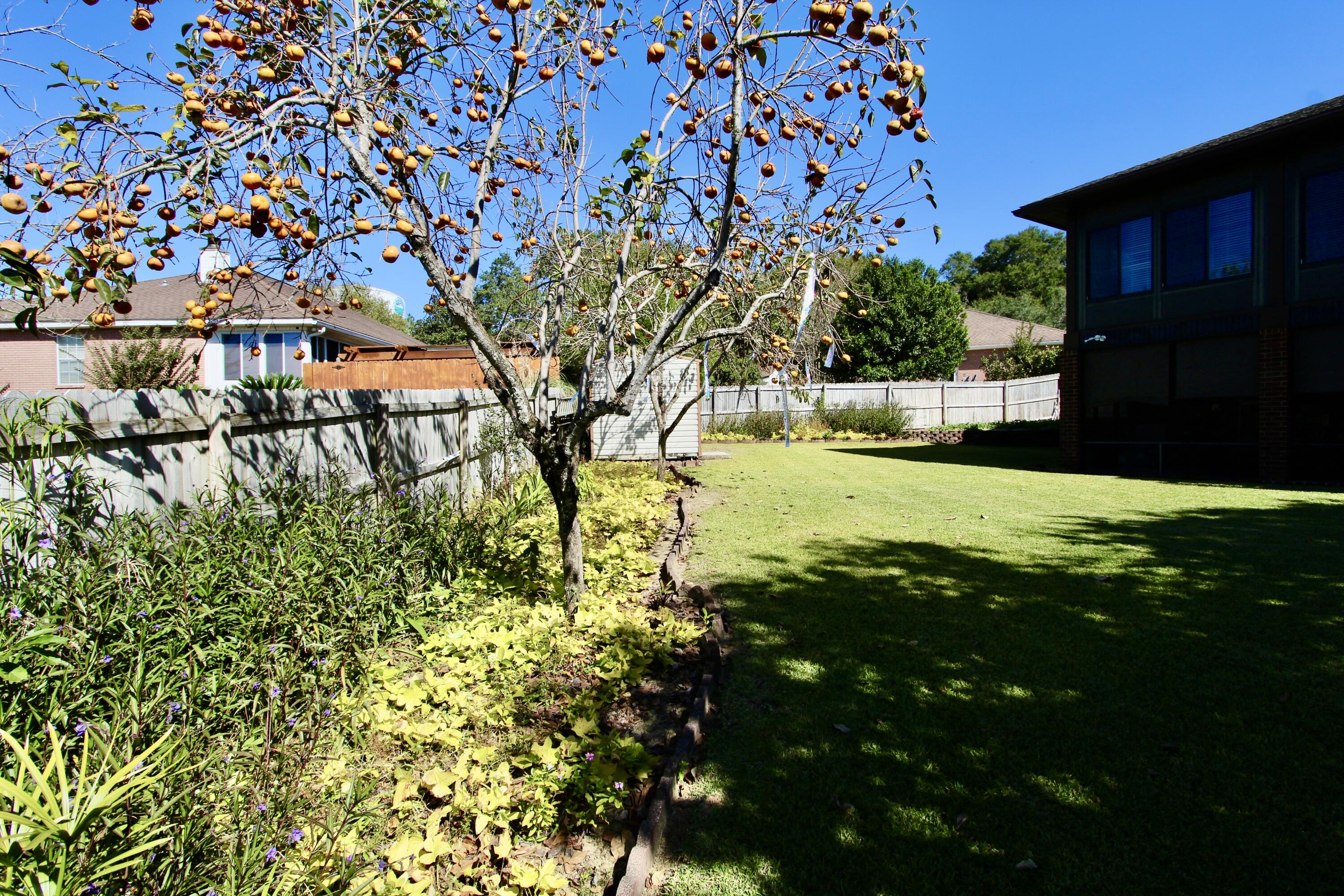 PAGE PLACE 3 PH 1 - Residential