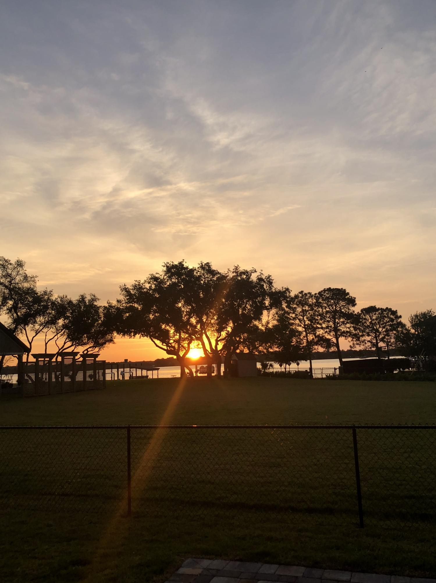 Watkins Cove - Residential