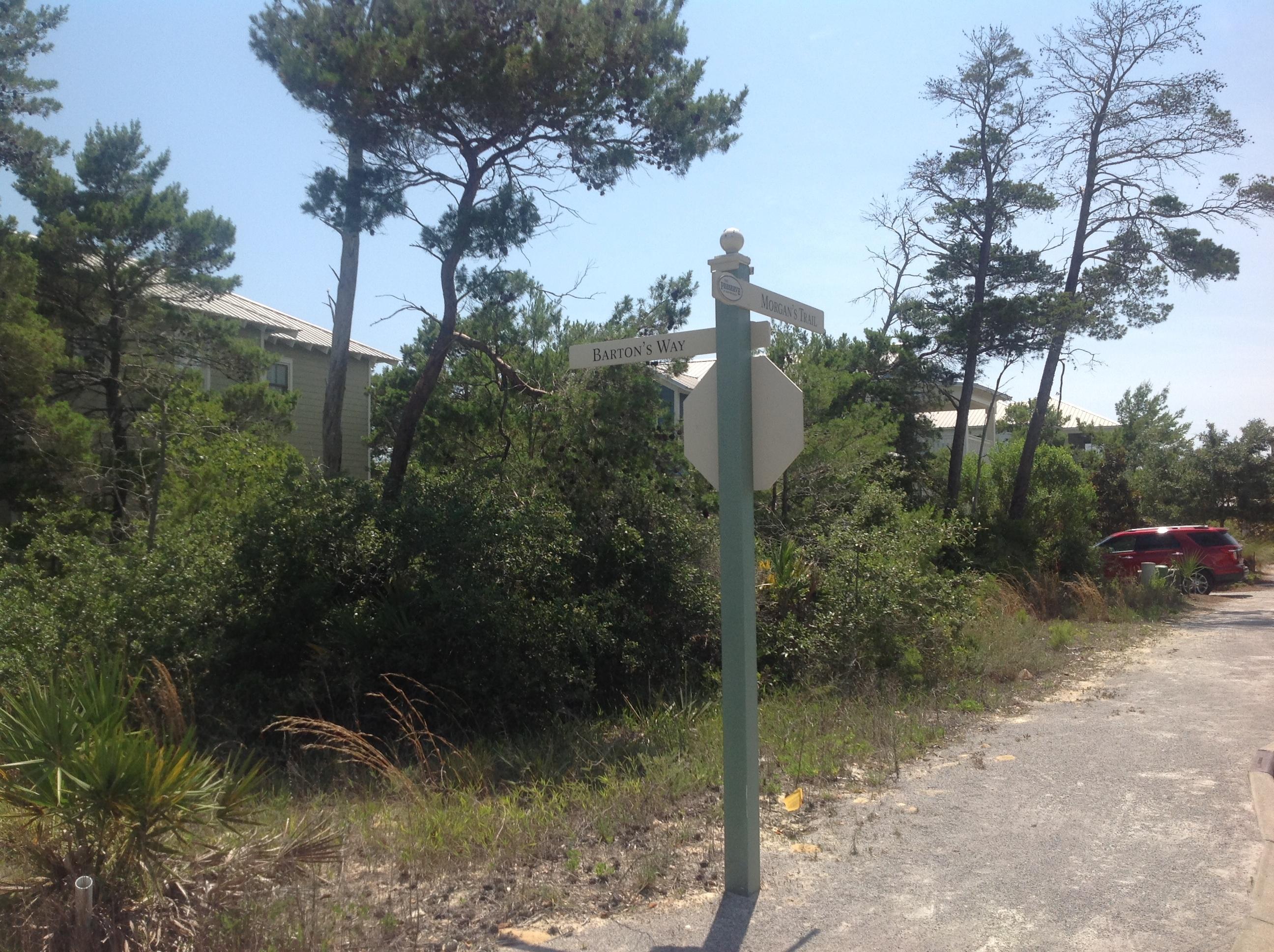 THE PRESERVE AT GRAYTON BEACH - Land