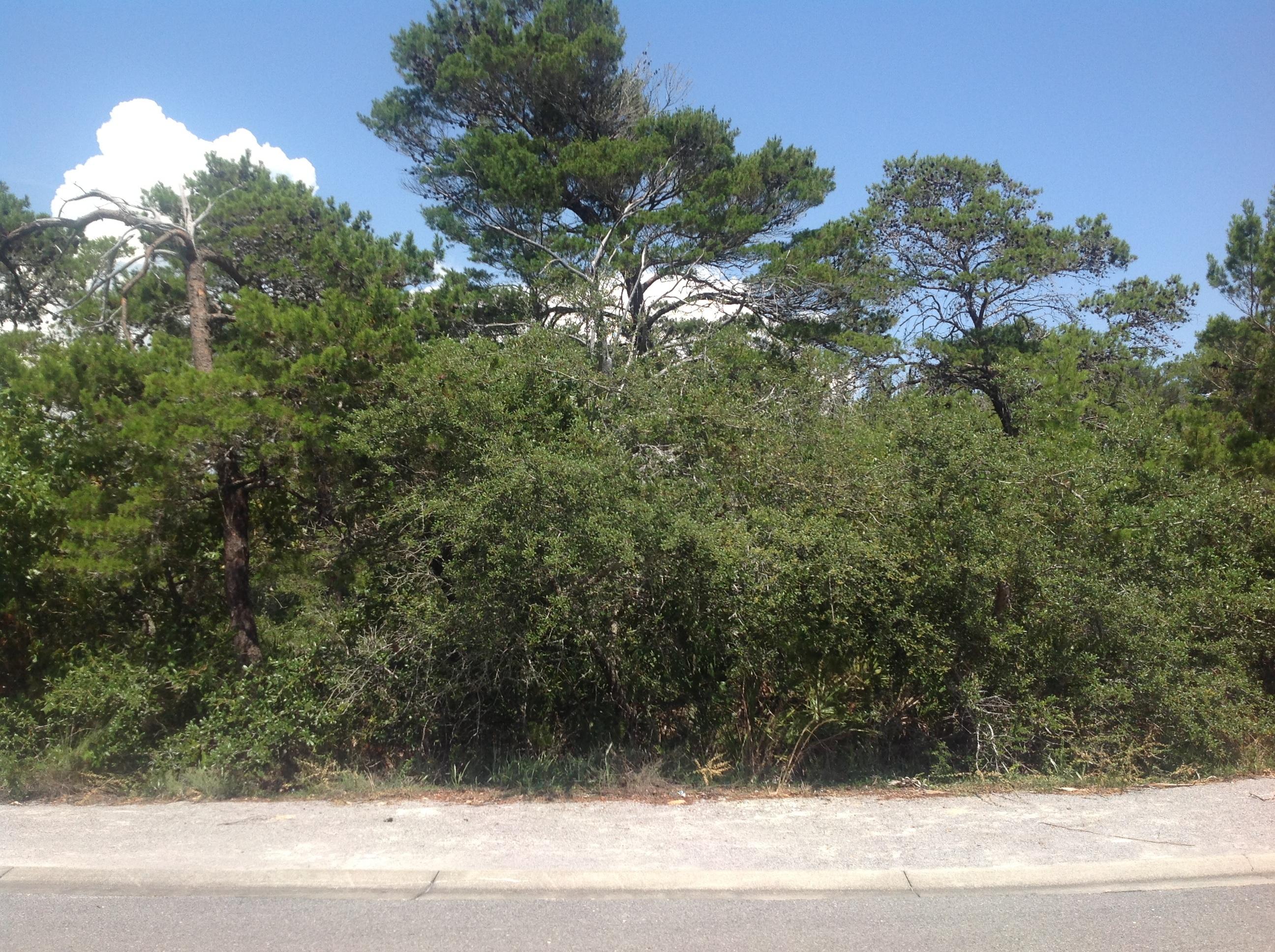 THE PRESERVE AT GRAYTON BEACH - Land