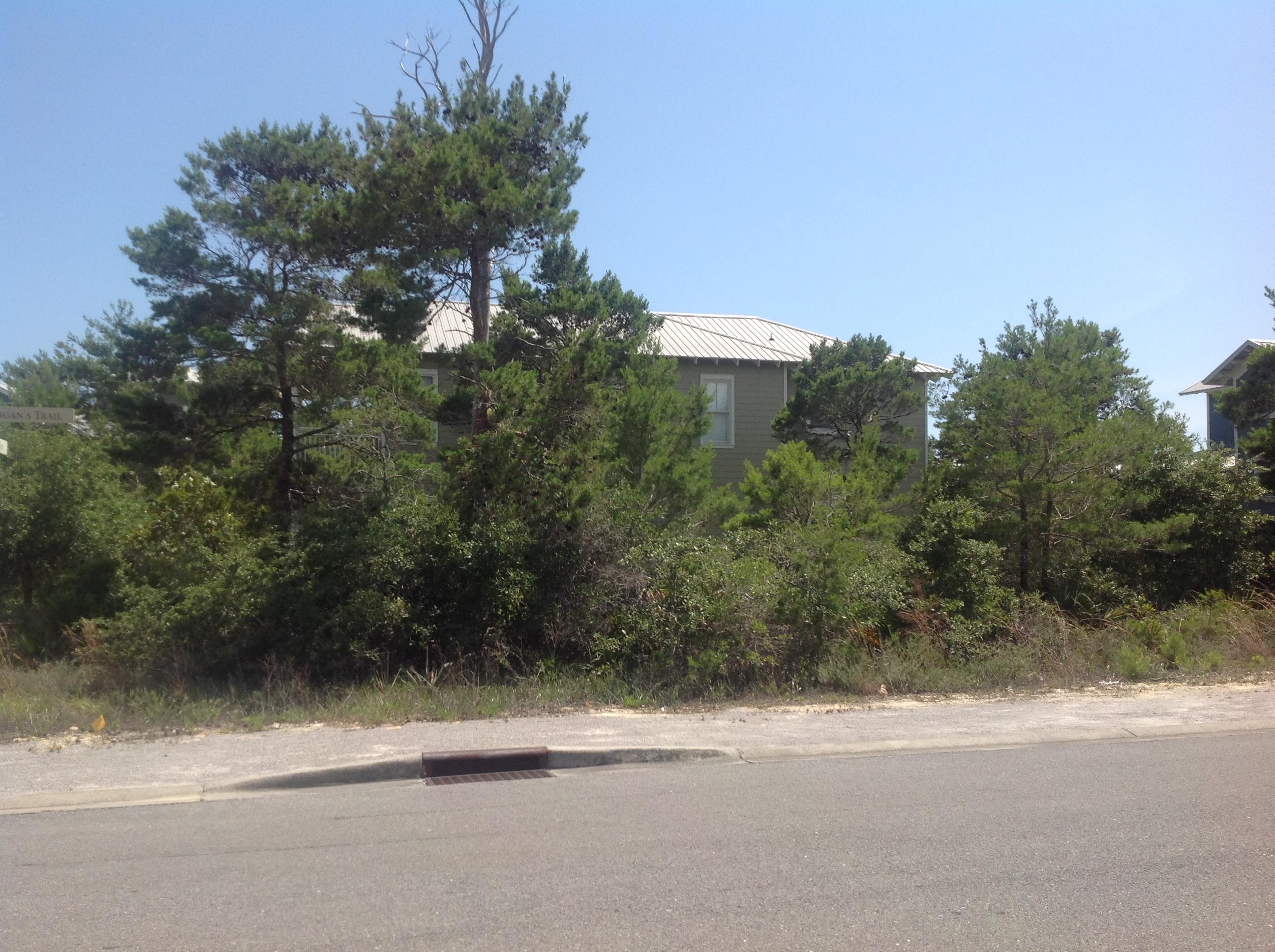 THE PRESERVE AT GRAYTON BEACH - Land