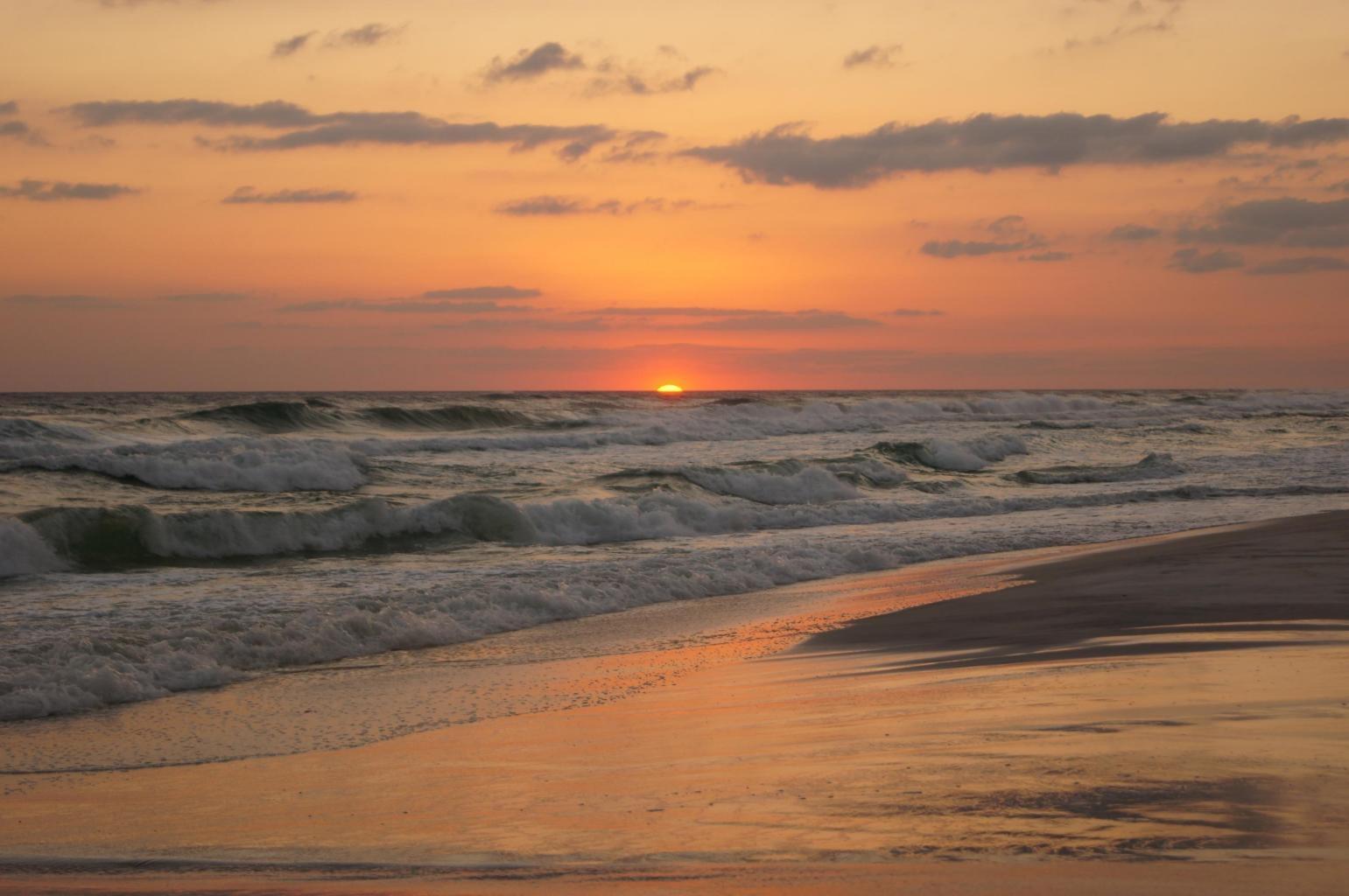 THE PRESERVE AT GRAYTON BEACH - Land