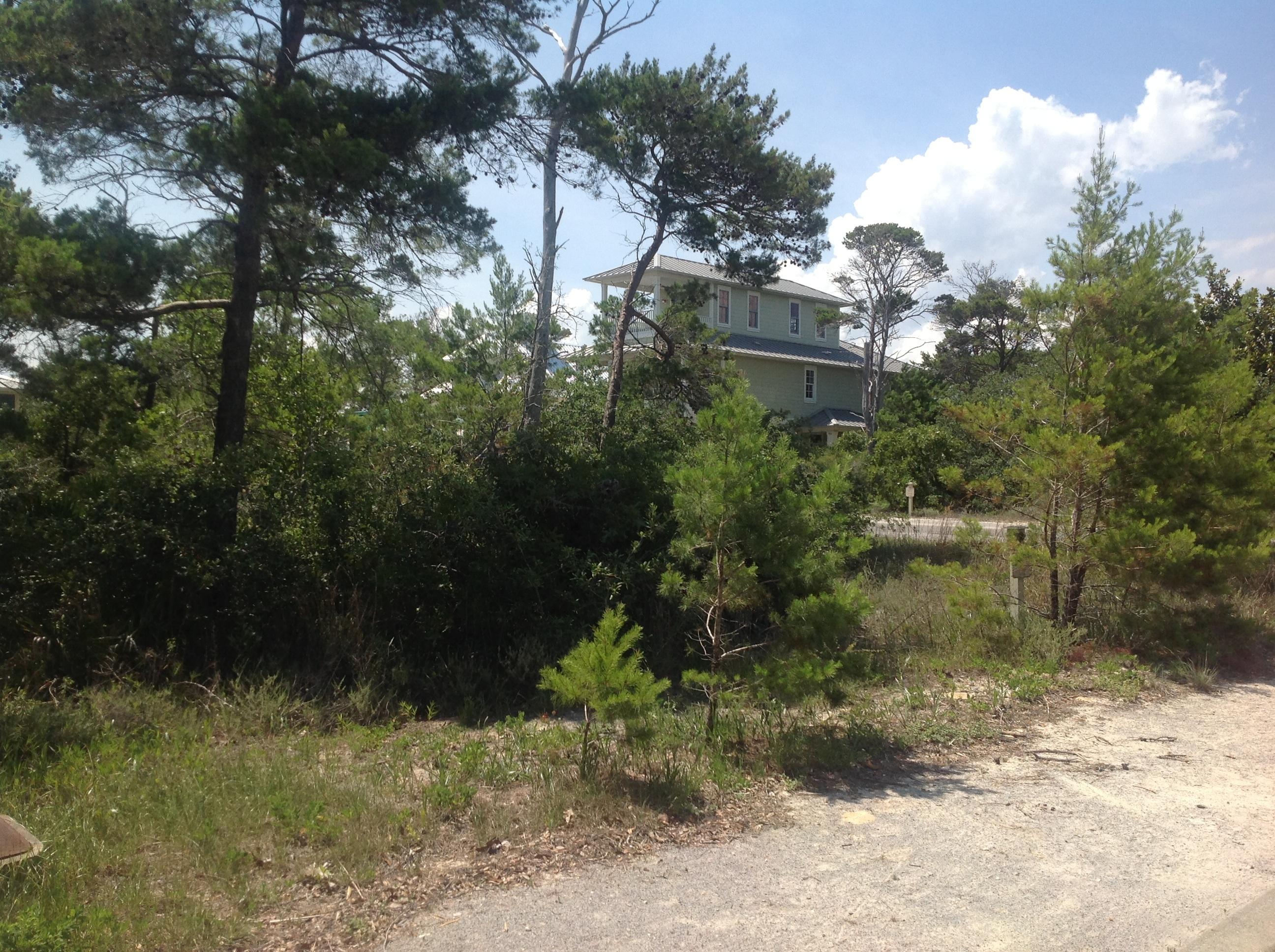 THE PRESERVE AT GRAYTON BEACH - Land