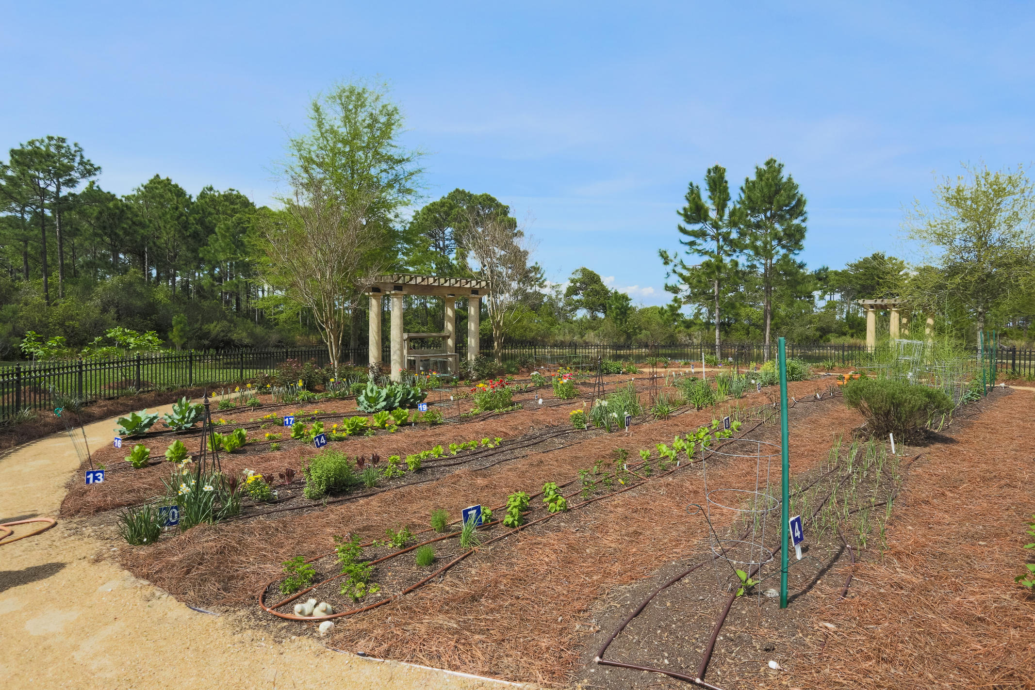 ONE WATER PLACE - Residential