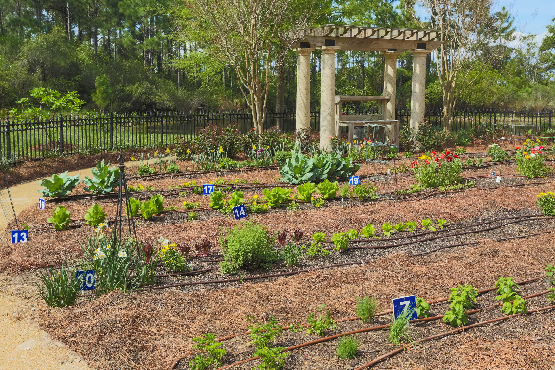 ONE WATER PLACE - Residential