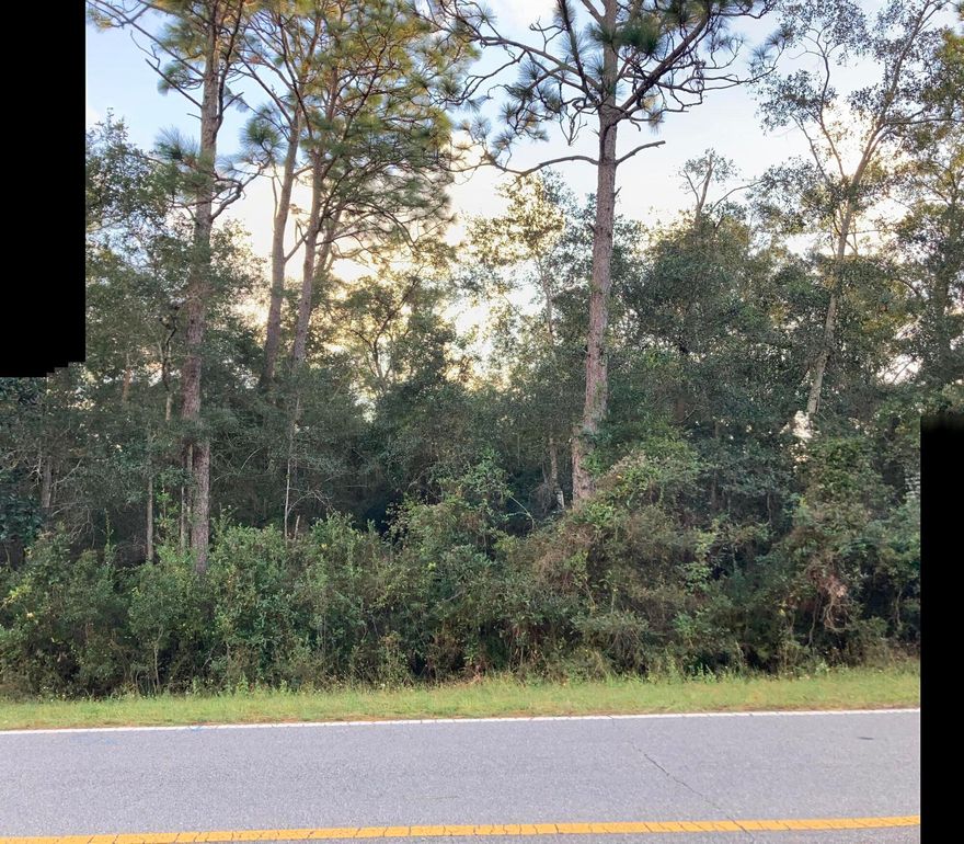 THIS NICE WOODED LOT IS LOCATED ONLY 2 BLOCKS FROM BLACKWATER BAY