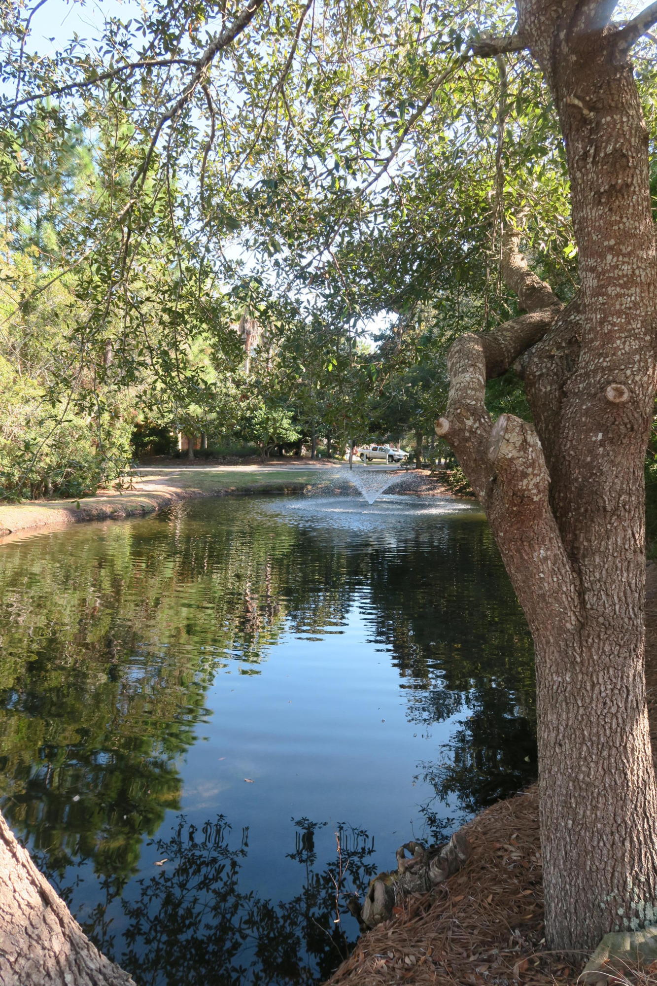 ESCADA - Residential