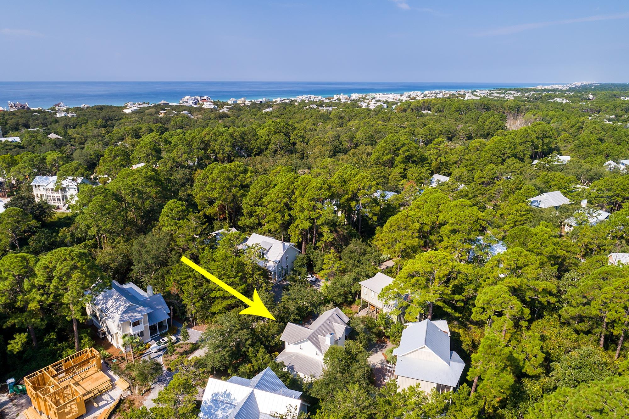 THE HAMMOCKS OF SEAGROVE - Residential