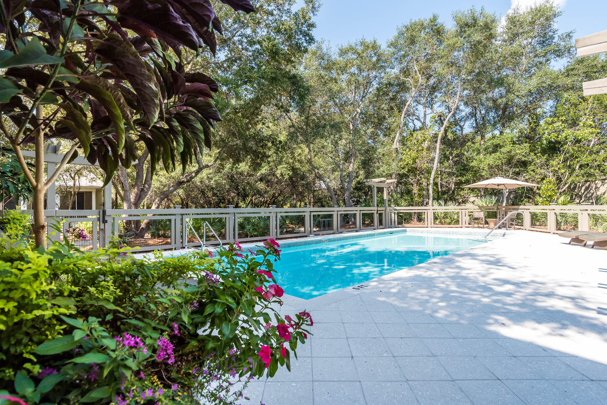 THE HAMMOCKS OF SEAGROVE - Residential