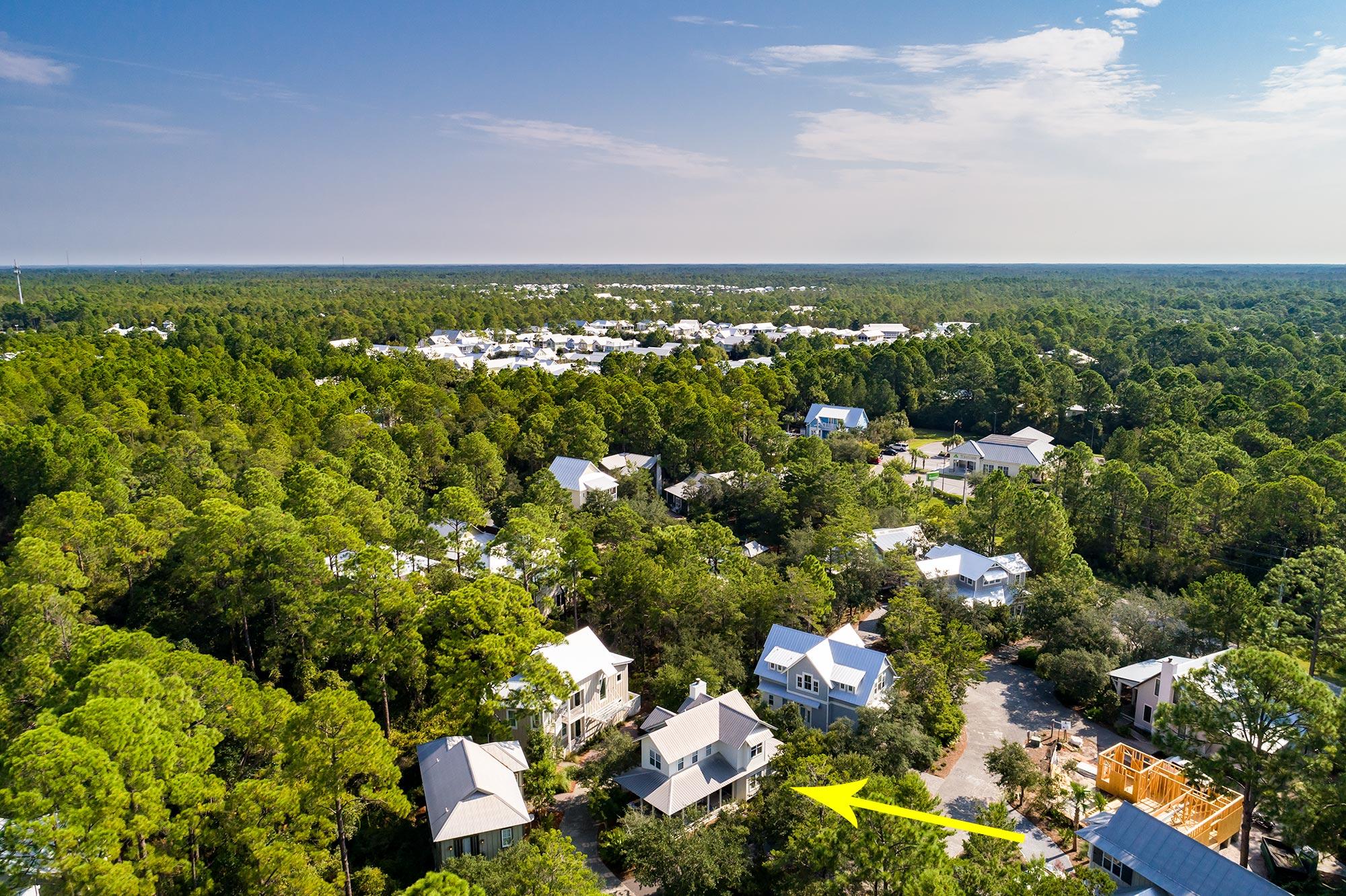 THE HAMMOCKS OF SEAGROVE - Residential