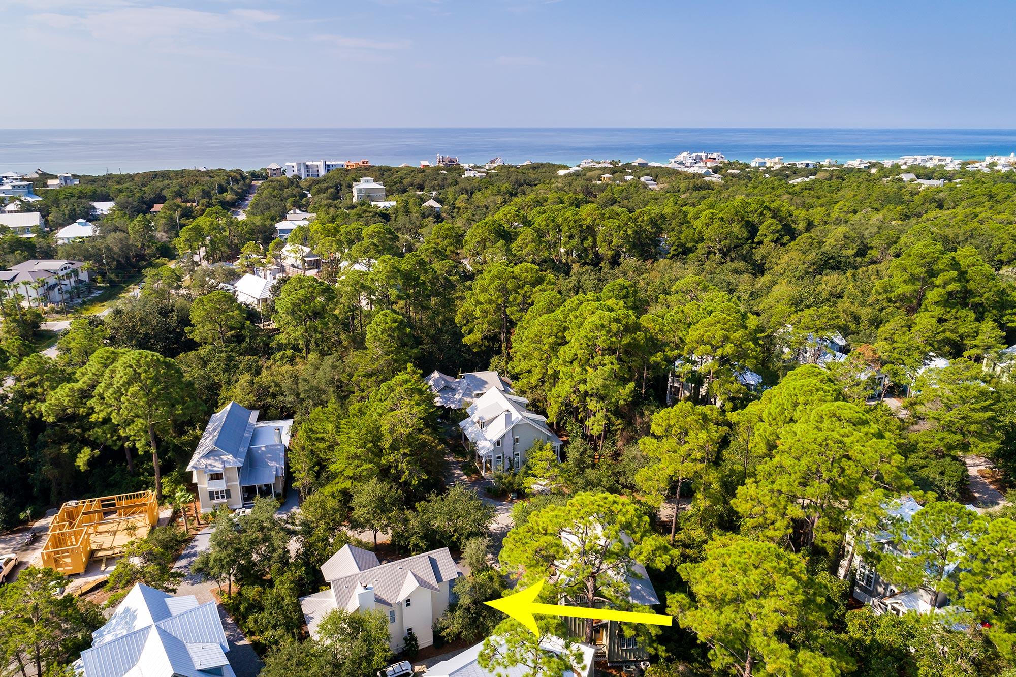 THE HAMMOCKS OF SEAGROVE - Residential