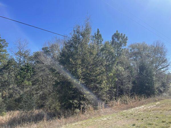 Gorgeous residential lot on Ten Lake Dr with one of the most beautiful Lake views in this neighborhood! Build your dream home in one of the best locations in North Walton County. Set out in the country but still close enough to all of the conveniences of small town living!
