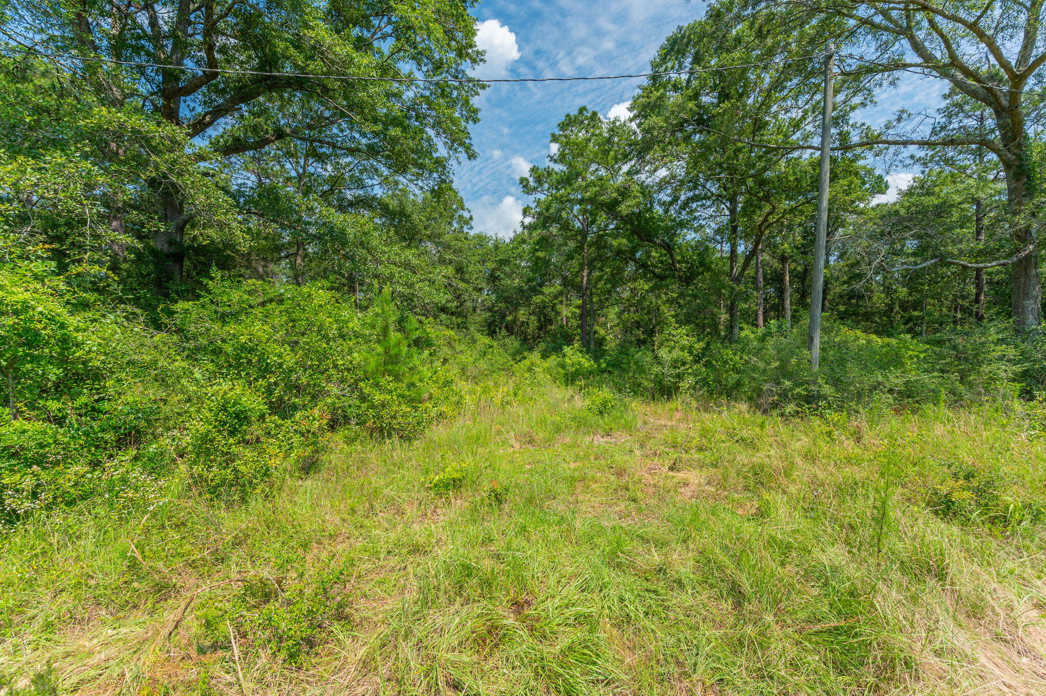 METES & BOUNDS - Farm