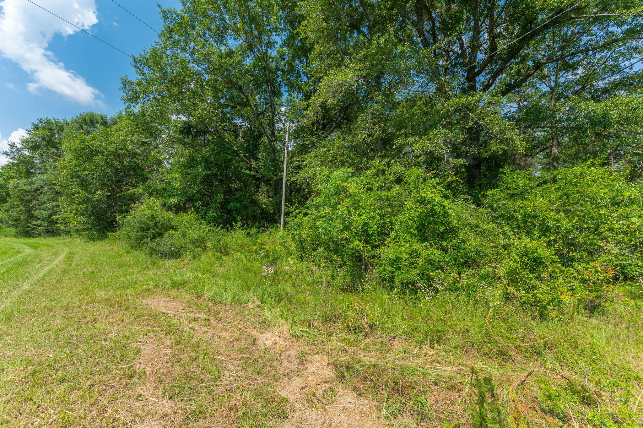 METES & BOUNDS - Farm