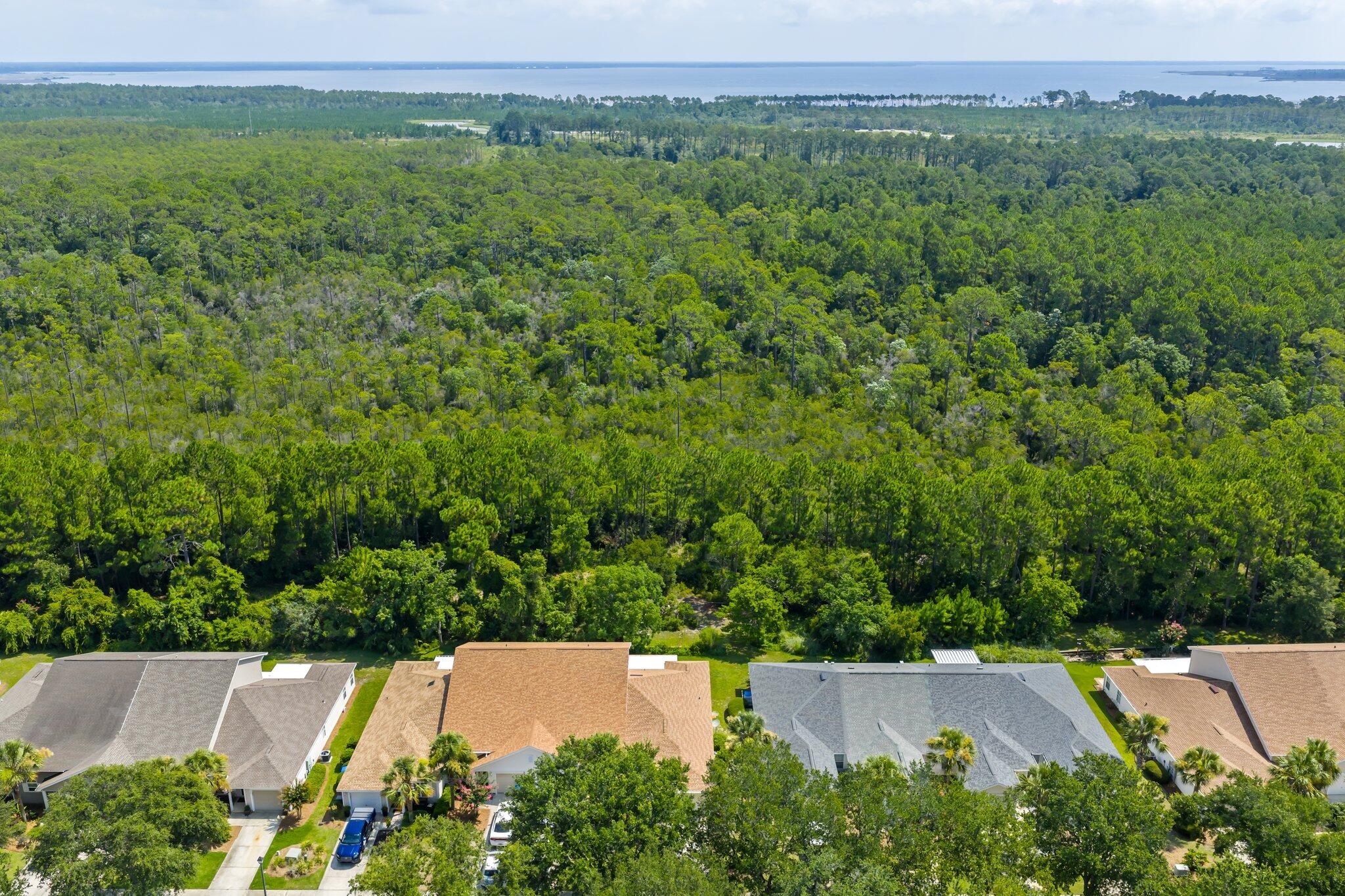 Palmetto Trace - Residential