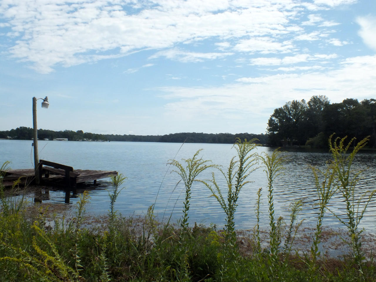 Kings Lake Estates - Residential