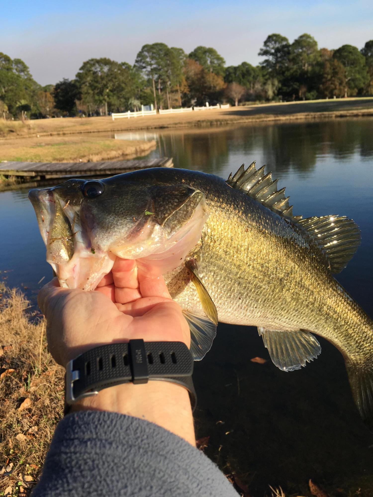 SUNSET BEACH ESTATES AT BLUEWATER BAY PH 2 - Residential