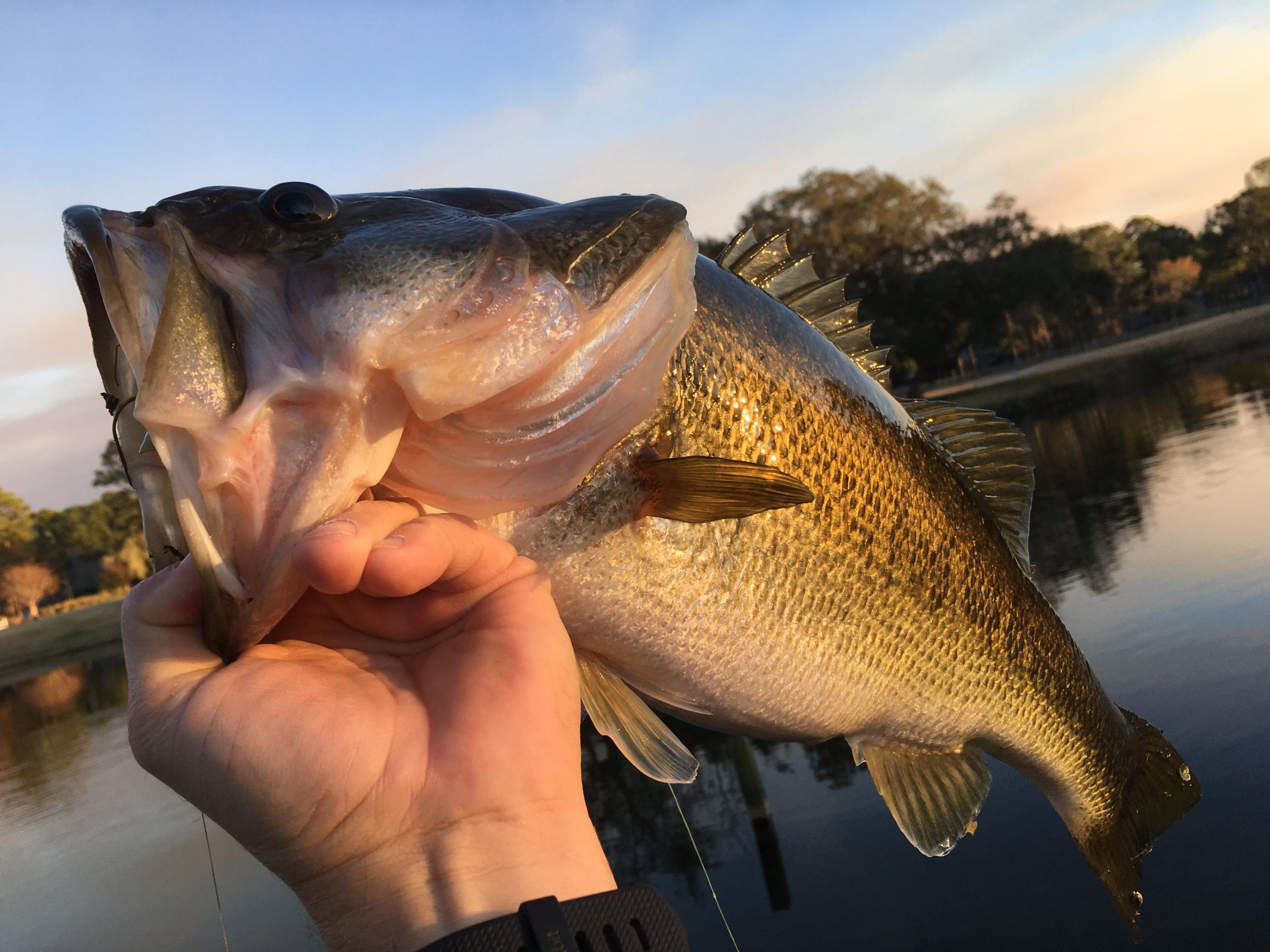 SUNSET BEACH ESTATES AT BLUEWATER BAY PH 2 - Residential