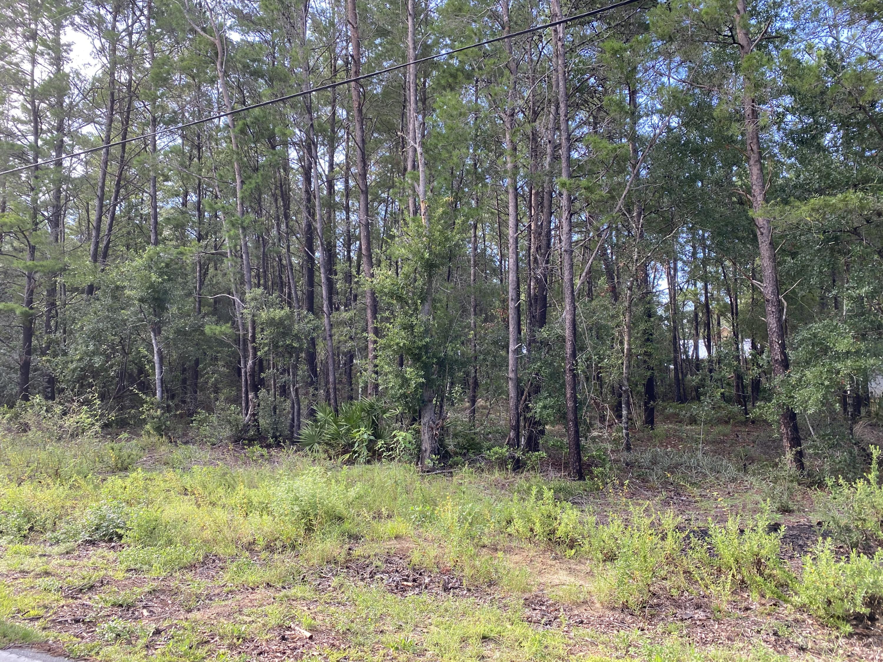 Great buy in Point Washington! Good sized flat lot within walking distance to the bay!