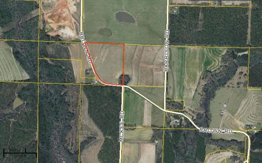 Beautiful tract of land on quiet county road. Currently used as crop land with a small wooded area, but would make a great place for a Ranchette or MiniFarm. Approximately 28-29 acres. Good neighborhood. About 20 minutes from town and an hour the beach. Excellent place for horses. Mobile homes allowed. Quiet country living.