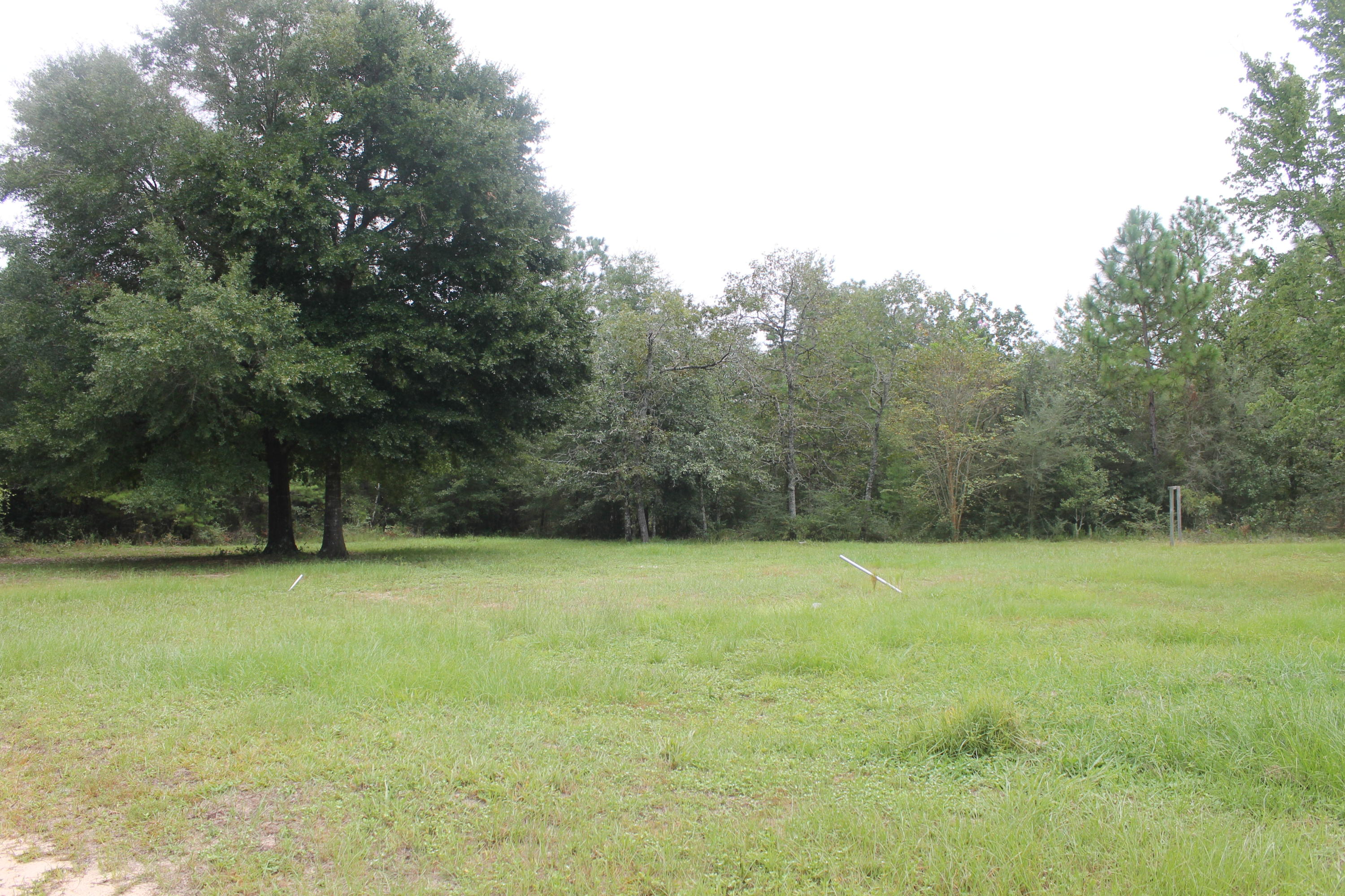 Great private property. Property does having a cleared space on center front of property. Previously a MH on the site, however, seller makes no warranties as to the condition of any existing well, electric or septic system. Bring all offers. Perfect getaway property to build or park a mobile home.