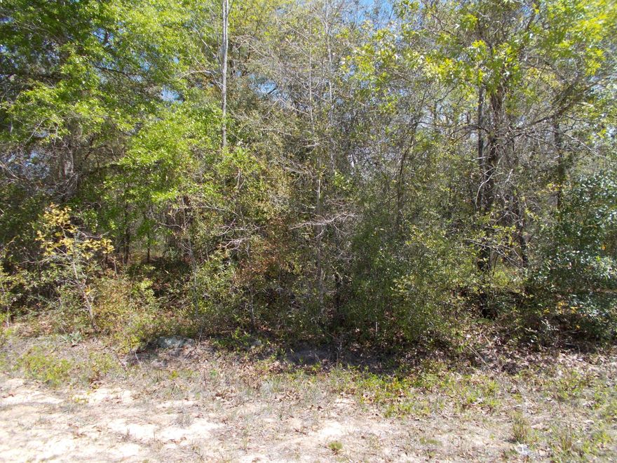 Nice wooded lot on Juniper Lake Drive. There is a small pond this lot backs up to. 100' on the pond. Mobile homes welcome.