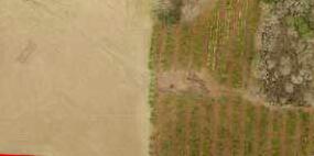 METES & BOUNDS - Land