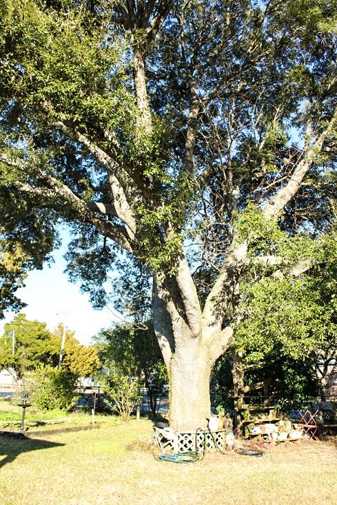 OAKLAND ADDN - Residential