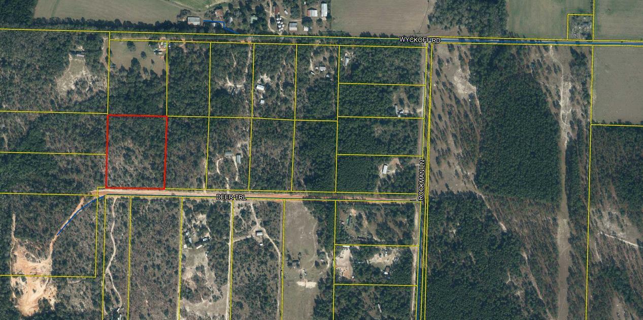 Almost 7 acres of lightly wooded land ready for your imagination in North Walton County. Mobile homes allowed. Great acreage for livestock, gardening, horses, etc. Located less than 20 minutes from downtown DeFuniak Springs and less than 1 hour from South Walton Beaches and Eglin AFB.Well and septic tank required.