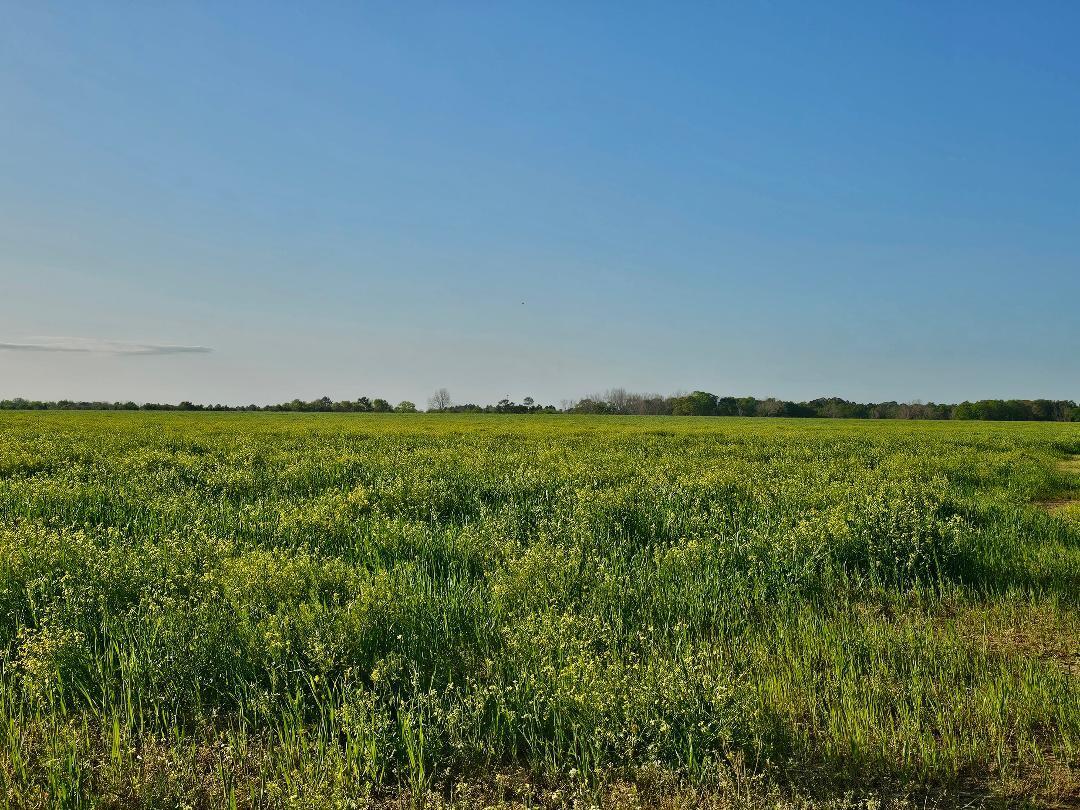 Amazing farmland in North Walton County that year after year was awarded as highest producer! Great location located North of DeFuniak in beautiful New Harmony Community!