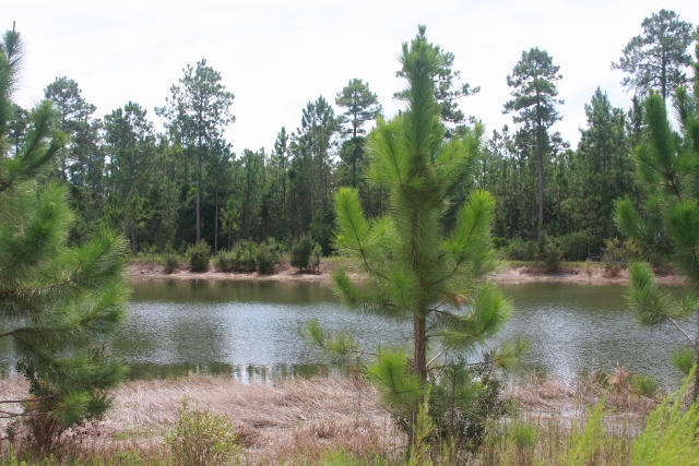 WINDSWEPT ESTATES - Land