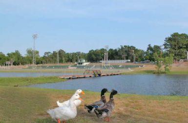 CRESTVIEW HEIGHTS - Residential