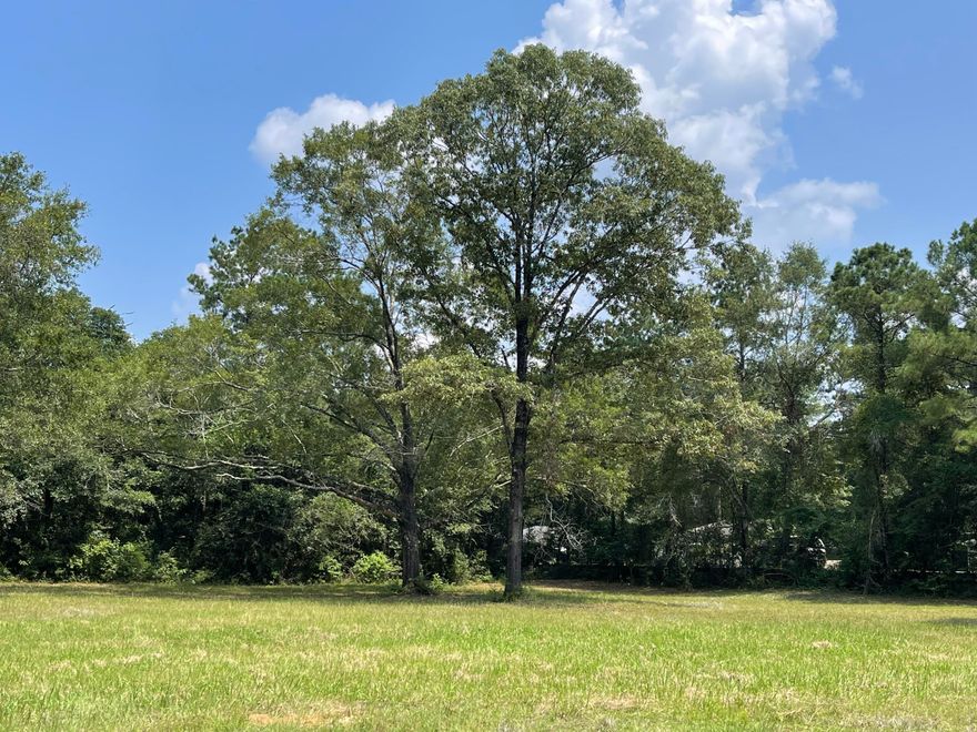 1 +/- AC of vacant land cleared and ready for you! Perfect area to  build your new home!  In approximate location to local restaurants and schools on a newly paved road. Surrounded by blueberries and red oak trees! Such a beautiful area to call home sweet home!!