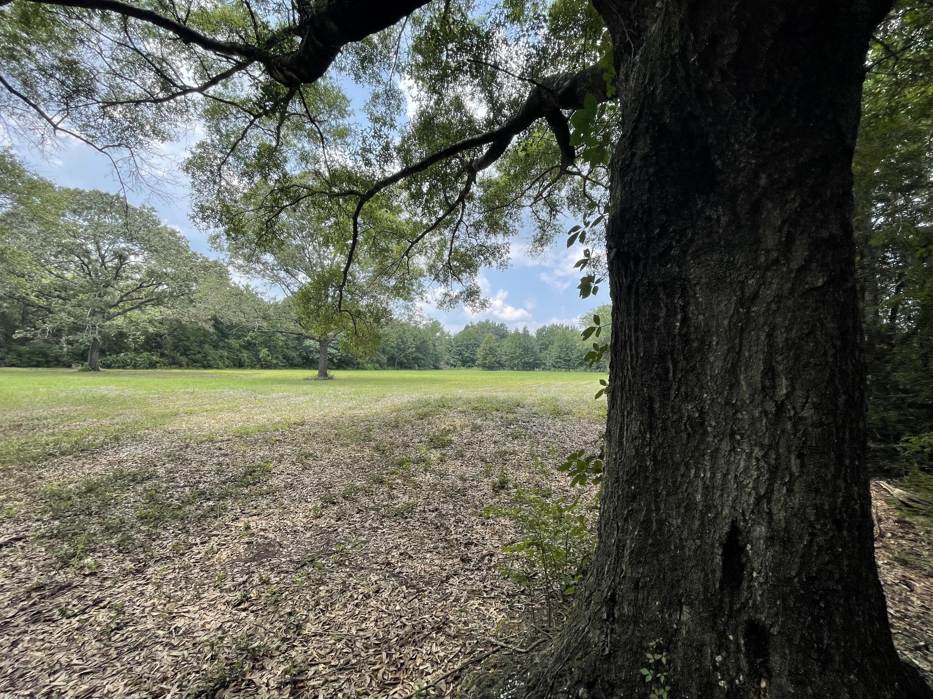 CRESTVIEW SUBURB (231000.00 - Land