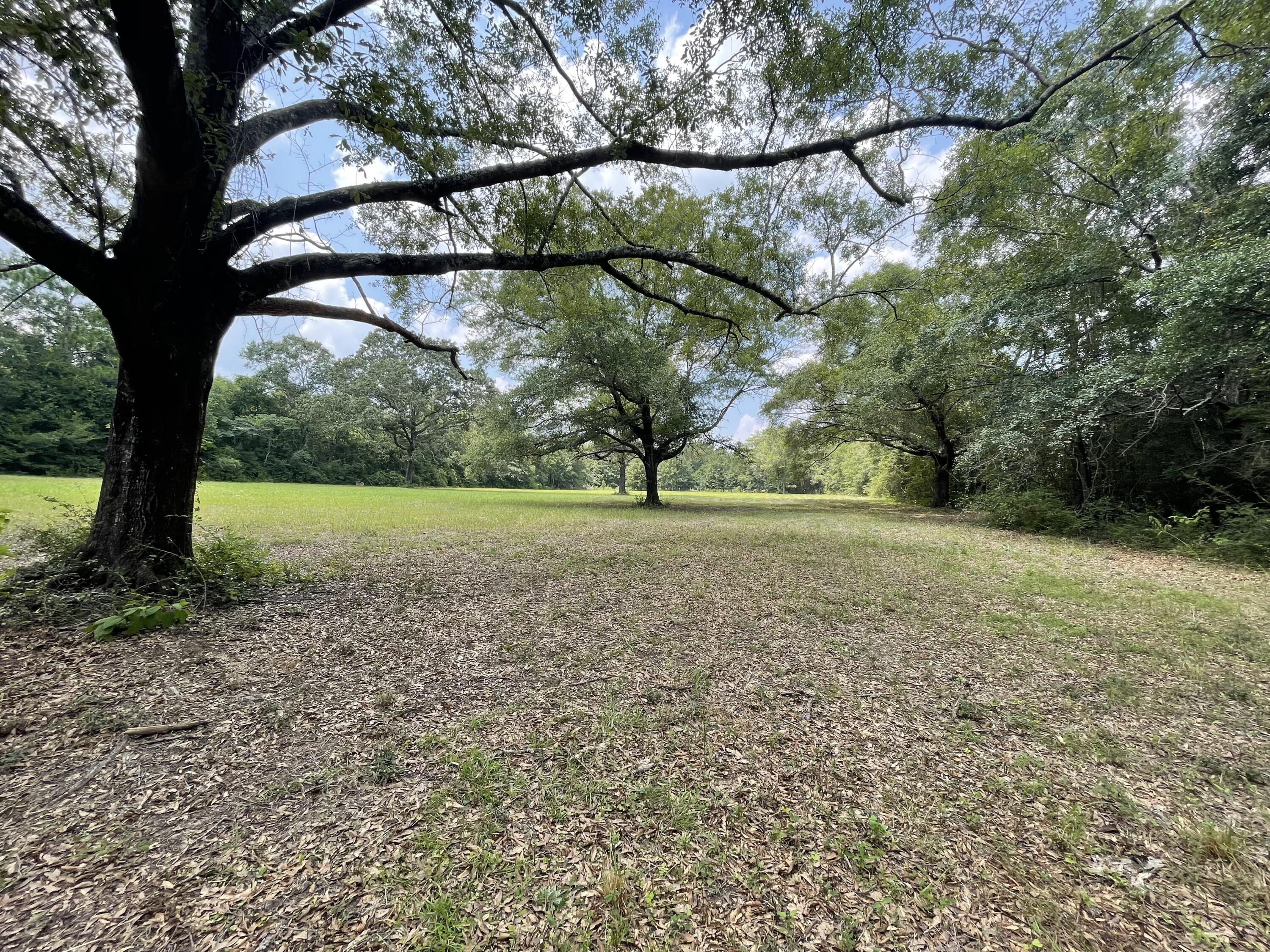 CRESTVIEW SUBURB (231000.00 - Land