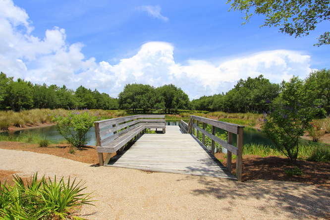 WATERCOLOR - Residential