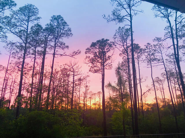 NATUREWALK AT SEAGROVE - Residential