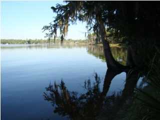 PARKWOOD ESTATES PH 5 - Land