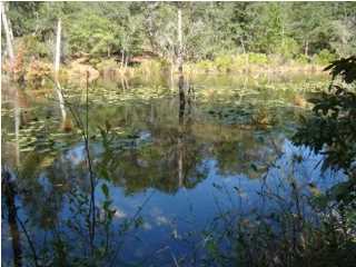 PARKWOOD ESTATES PH 5 - Land