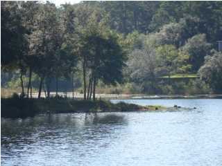 PARKWOOD ESTATES PH 5 - Land