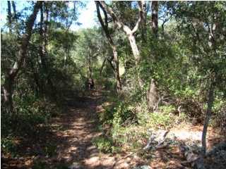 PARKWOOD ESTATES PH 5 - Land