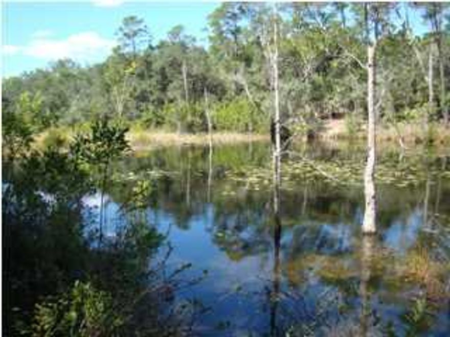 *** MOTIVATED SELLER*** Don't miss your chance to own one of the last lots available in the one of a kind gated community of Parkwood Estates! This private lot is located in Eagle's Ridge at the end of a cul-de-sac surrounded by the Eglin reservation. Just walking distance to award winning Bluewater Elementary School! Close to shopping, doctors, dentists, reataurants and Bluewater Bay amenities including golf courses, pools, tennis facilities and marina. Just 15 minutes from the beautiful beaches of Destin too! This lot has not yet been cleared, but the seller has a house plan available to view that includes a walk-out basement. Come see this lot today and start making plans for your dream home!!!