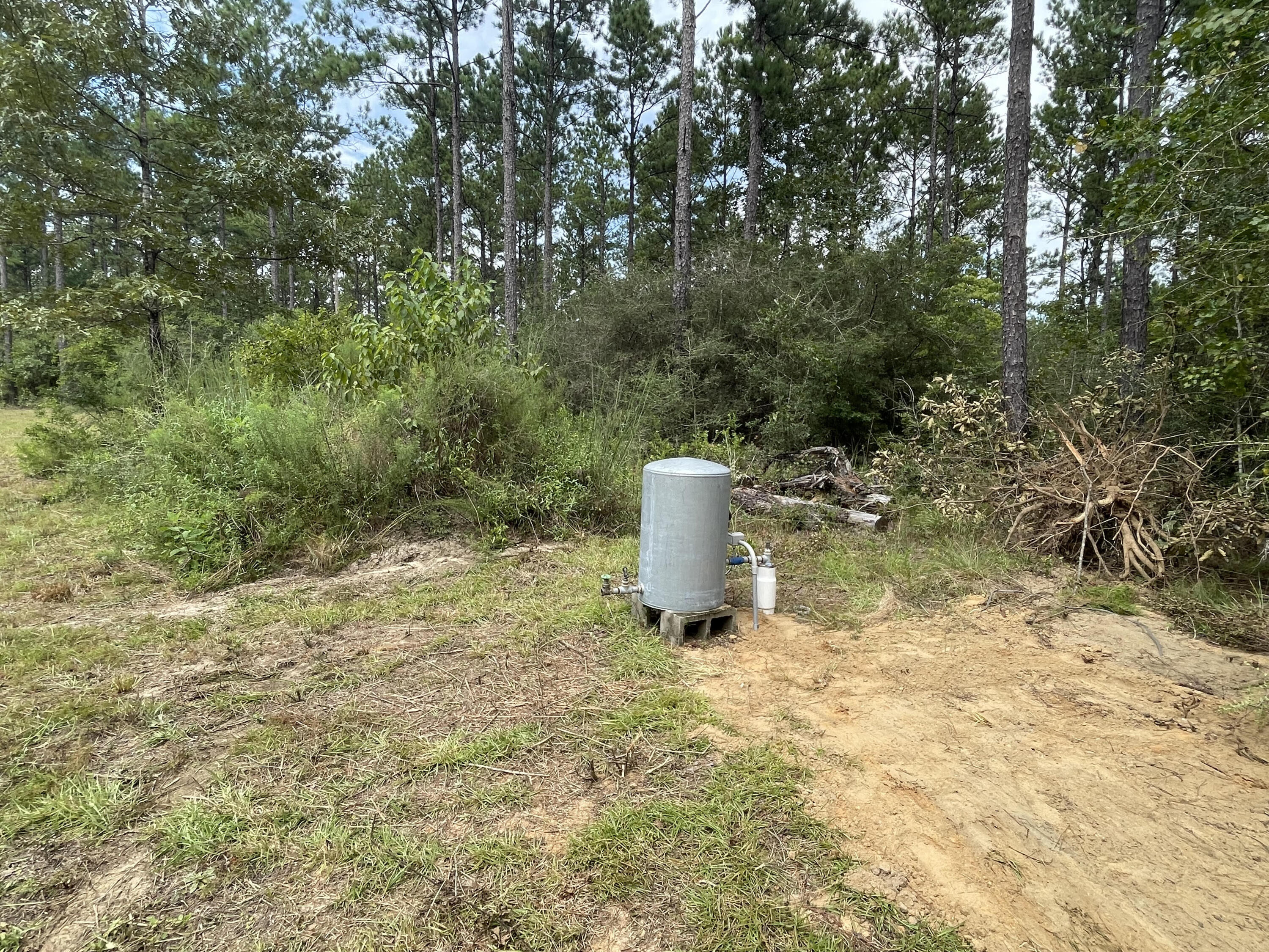 WALTON PLANTATION - Land