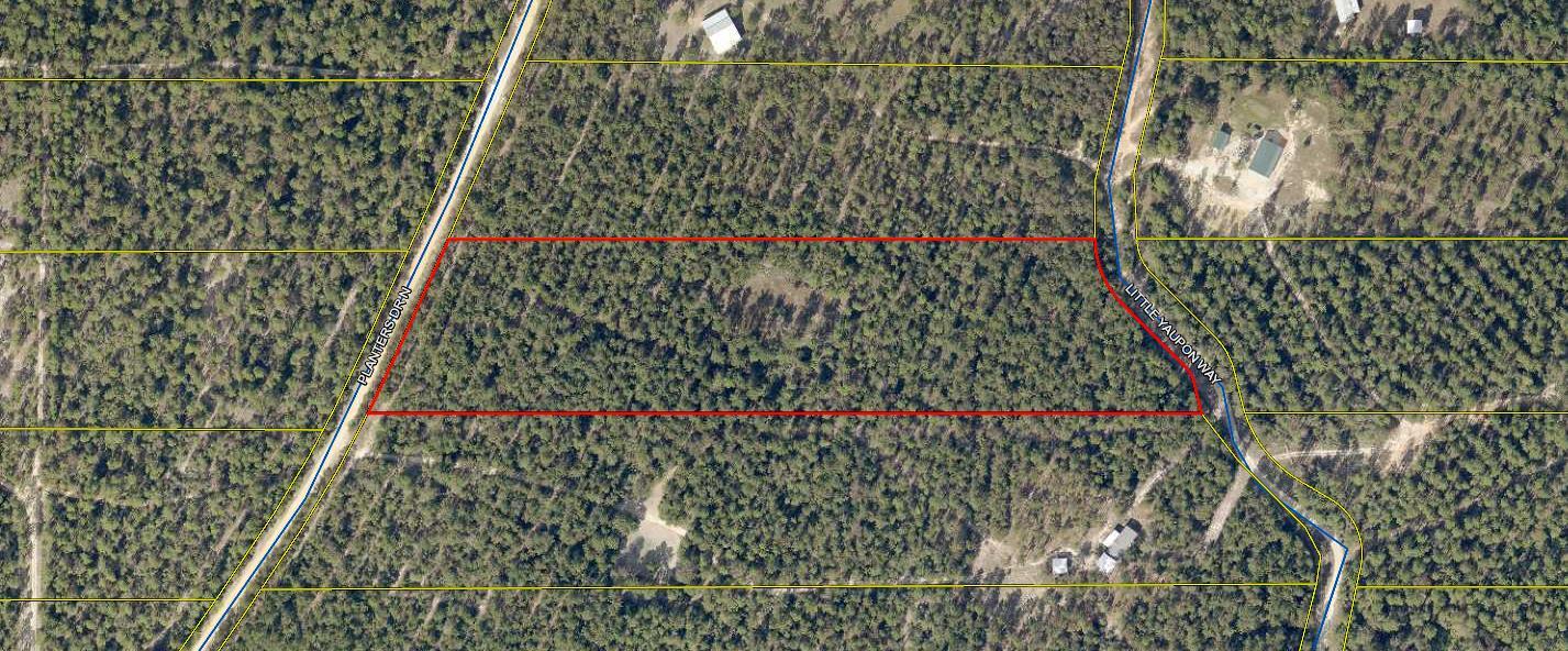 WALTON PLANTATION - Land