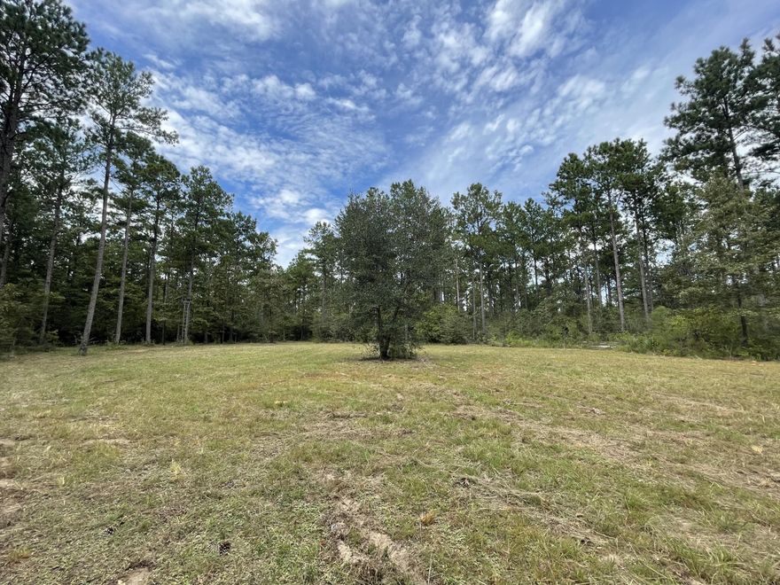 Perfect getaway! 10.47 acres in Walton Plantation with road frontage on two sides (Planter Drive N and Little Yaupon Way) for a total of 775 feet of road frontage. There is a 1 acre clearing in the middle. There is 600 ft of underground primary wire to an underground transformer that is in the middle of the lot. There is a 200 amp underground meter pole with 50 amp & 30 amp service a RV to hook up to. There are also (4) 110 outlets on the meter pole and a deep well. This North Walton gated community has so much to offer for outdoor enthusiasts- approximately 2500 acres, miles of professionally maintained dirt roads, a rustic open-air chapel, public restrooms, ponds for fishing, a community garden, horse riding & ATV riding trails and approximately 300 yd. shooting range. Don't miss out! Owners also have the option to join the hunting club for an additional $360 annual fee that allows hunting on approximately 2000 additional acres within the community.